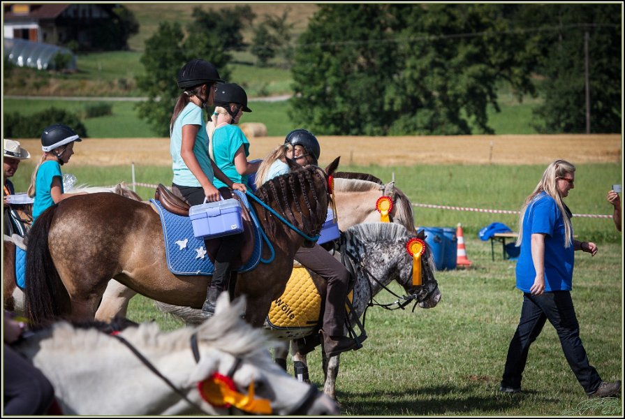 Mounted Games 334